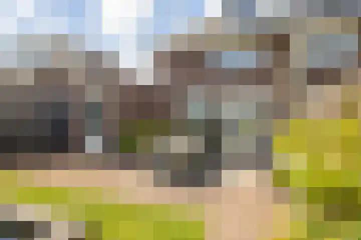 Meulenspie 21 Teteringen thumbnail 46