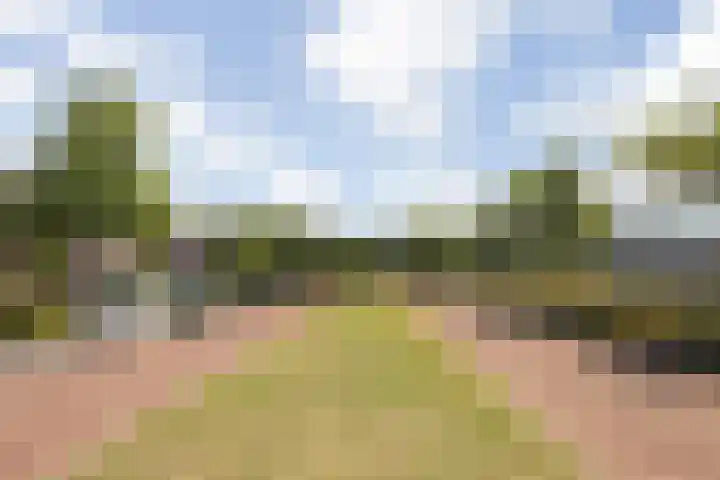Meulenspie 21 Teteringen thumbnail 48