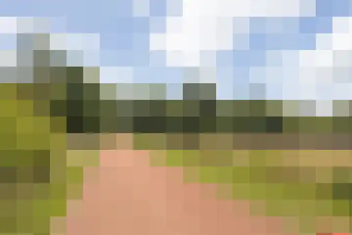Meulenspie 21 Teteringen thumbnail 49