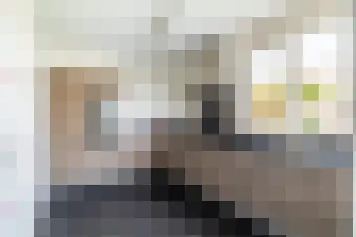 Meulenspie 7 Teteringen thumbnail 11