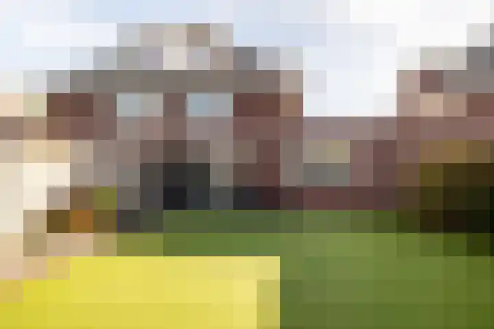 Meulenspie 7 Teteringen thumbnail 20