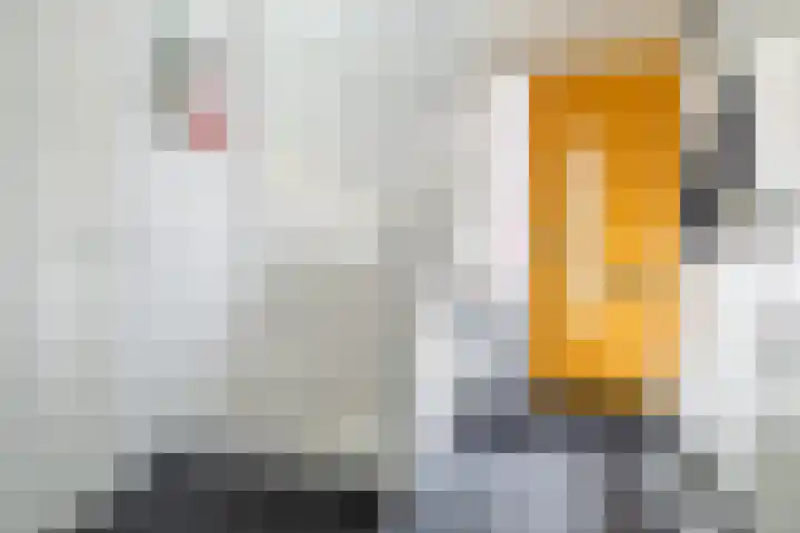 Meulenspie 7 Teteringen thumbnail 22