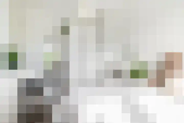 Meulenspie 7 Teteringen thumbnail 25