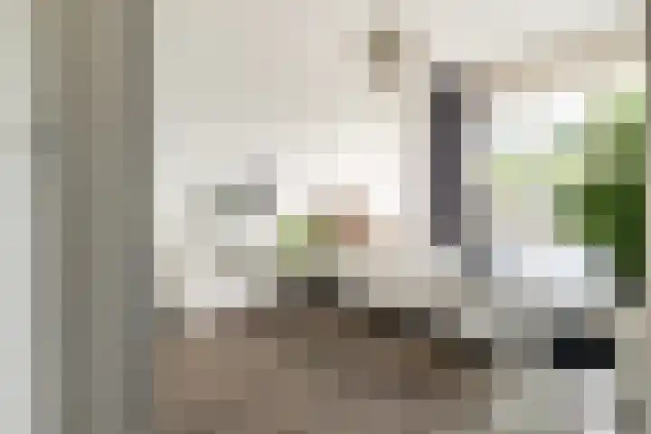 Meulenspie 7 Teteringen thumbnail 27