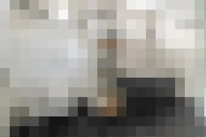 Meulenspie 7 Teteringen thumbnail 30