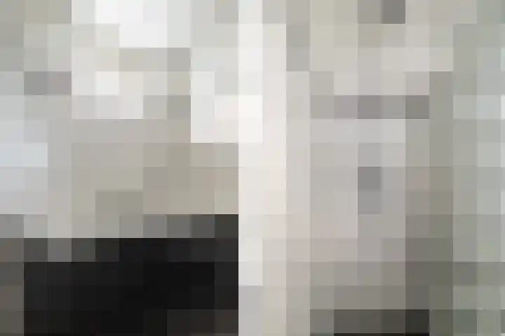Meulenspie 7 Teteringen thumbnail 31