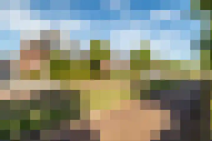 Meulenspie 7 Teteringen thumbnail 39