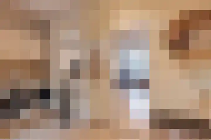 Meulenwiekelaan 15 Bussum thumbnail 10