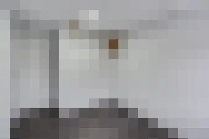 Meulenwiekelaan 15 Bussum thumbnail 15