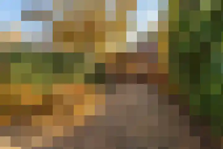 Meulenwiekelaan 15 Bussum thumbnail 23