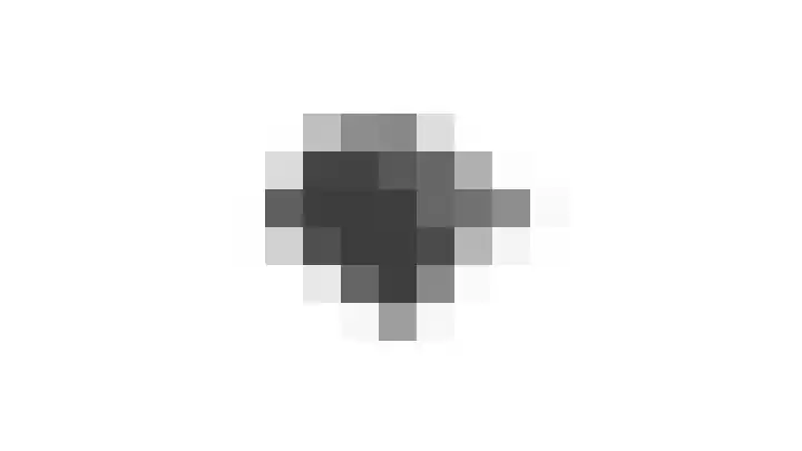 Meulenwiekelaan 15 Bussum thumbnail 36