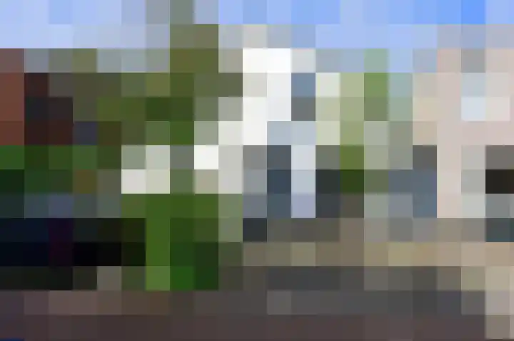 Meulenwiekelaan 28 Bussum