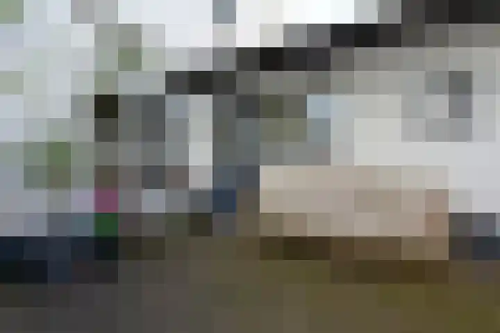 Meulenwiekelaan 28 Bussum thumbnail 16