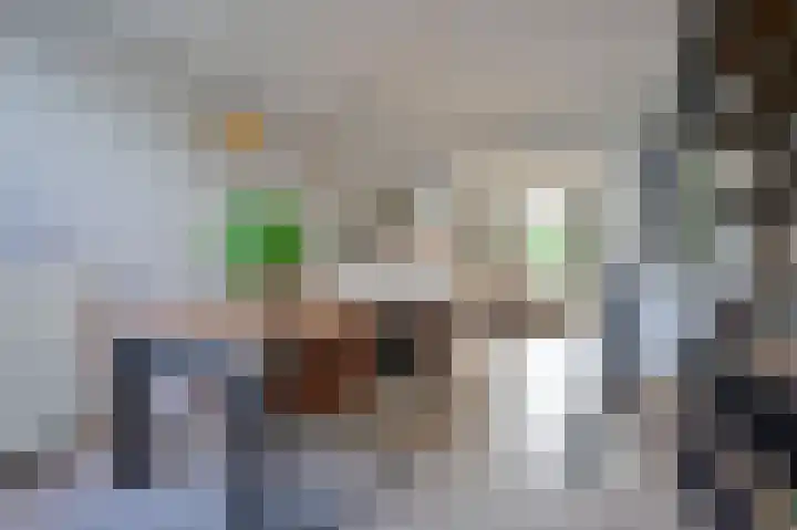 Meulenwiekelaan 28 Bussum thumbnail 7