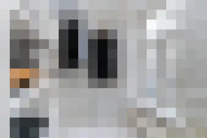 Meulenwiekelaan 8 Bussum thumbnail 23
