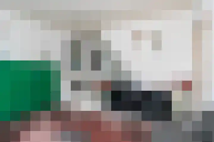 Meulenwiekelaan 8 Bussum thumbnail 4