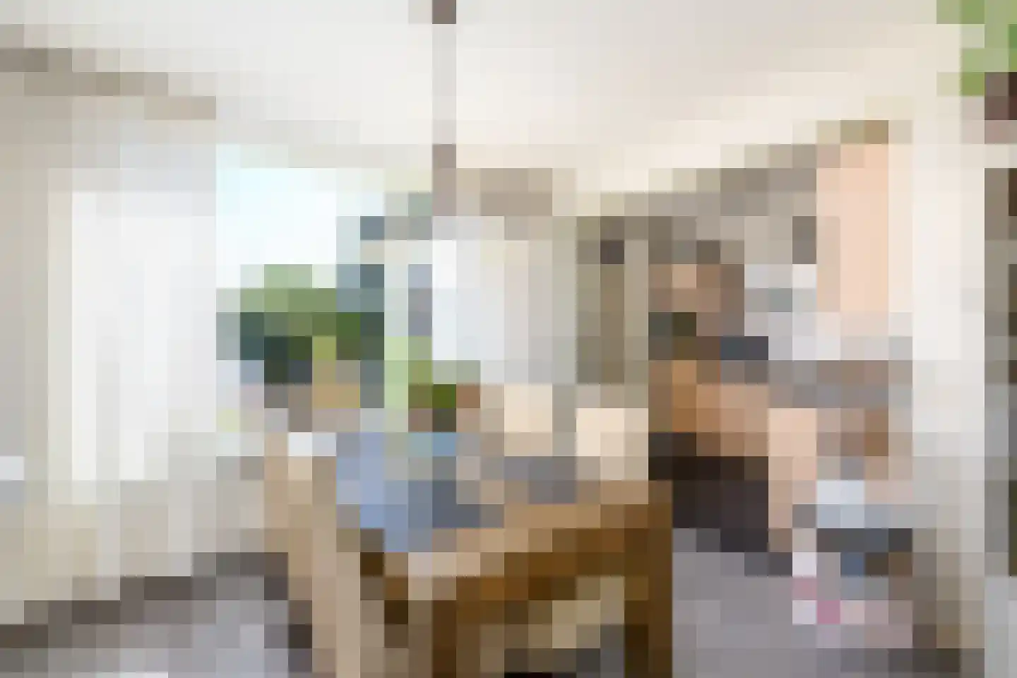 Meulestraat 32 Wolvega thumbnail 10