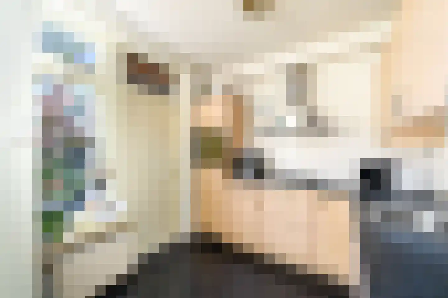 Meulestraat 32 Wolvega thumbnail 12