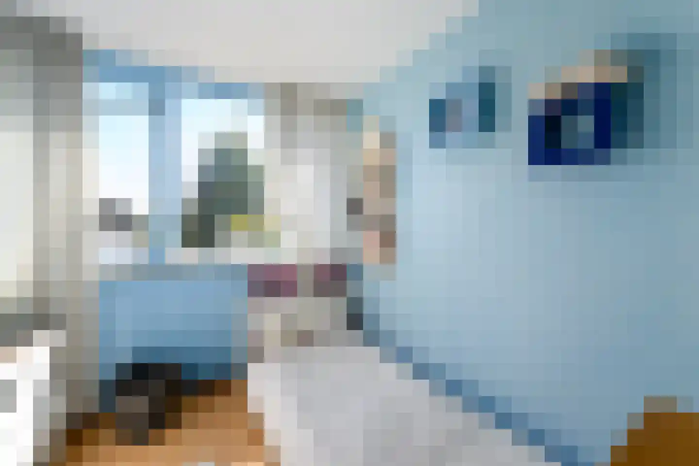 Meulestraat 32 Wolvega thumbnail 19