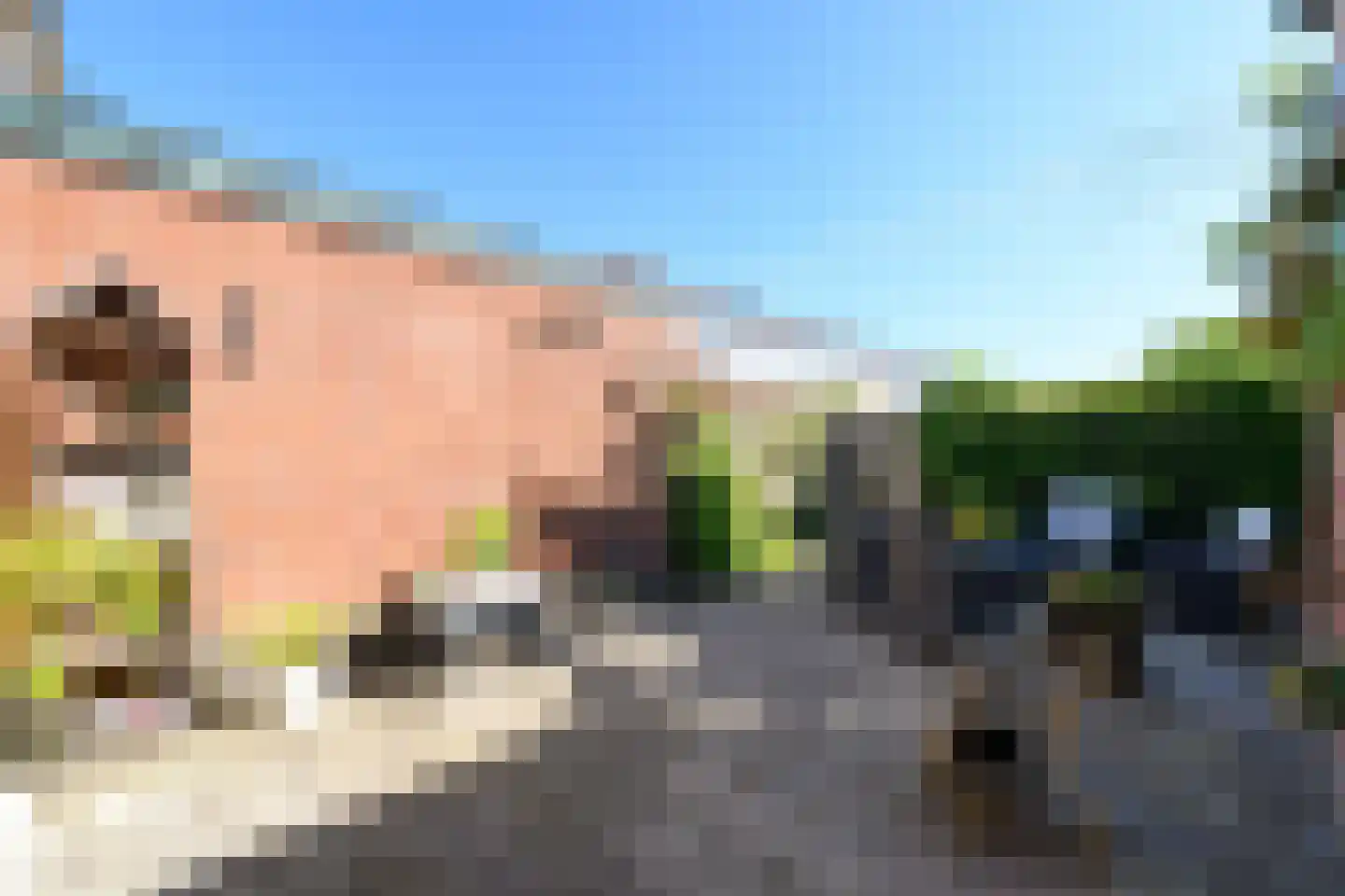 Meulestraat 32 Wolvega thumbnail 27