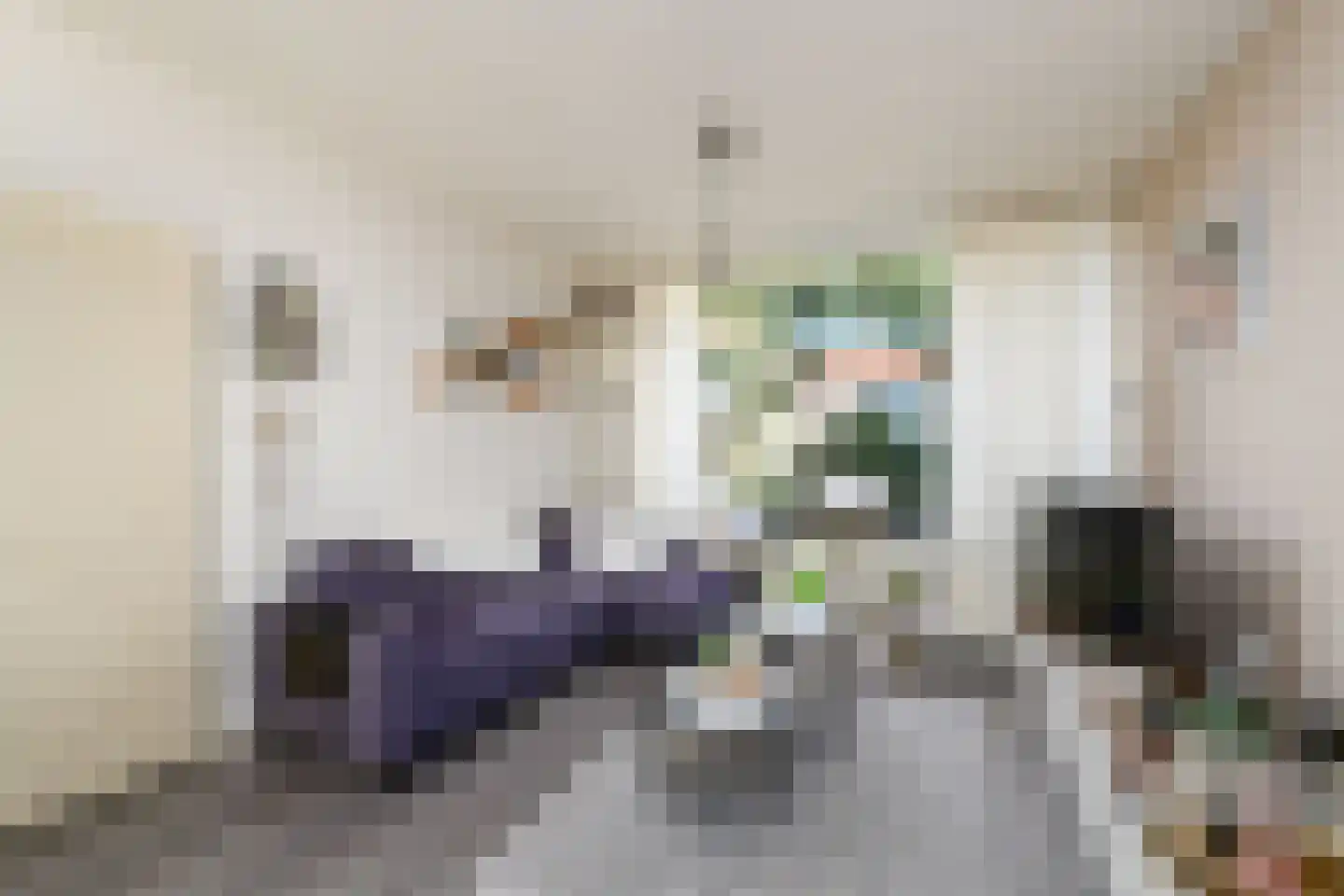 Meulestraat 32 Wolvega thumbnail 4