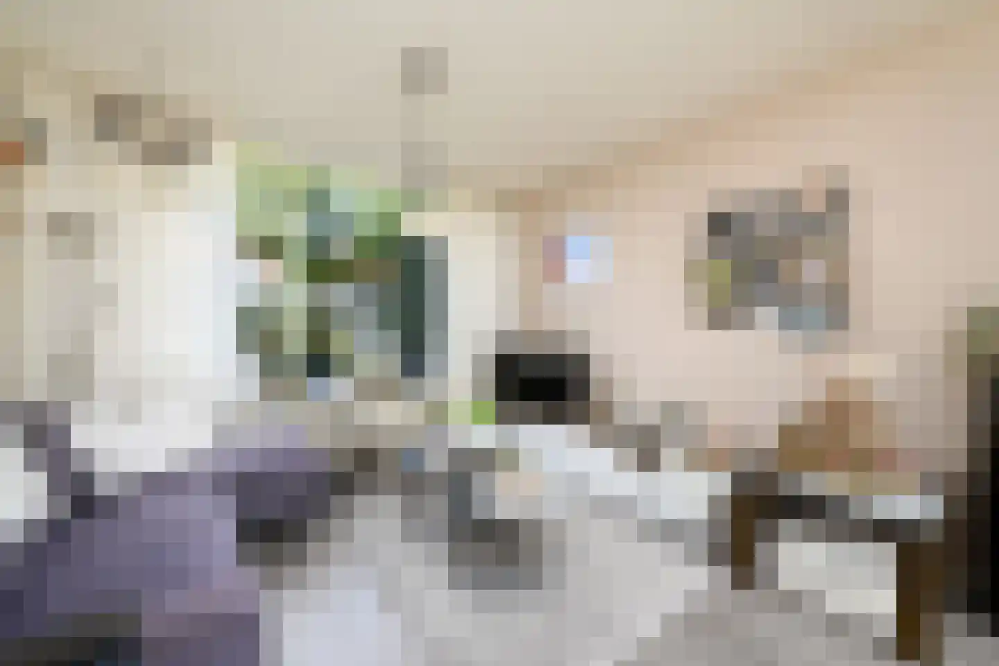 Meulestraat 32 Wolvega thumbnail 5