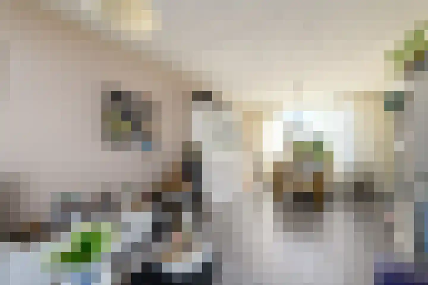 Meulestraat 32 Wolvega thumbnail 6