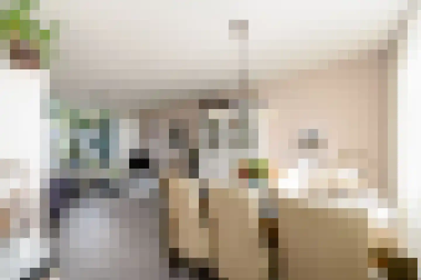 Meulestraat 32 Wolvega thumbnail 8