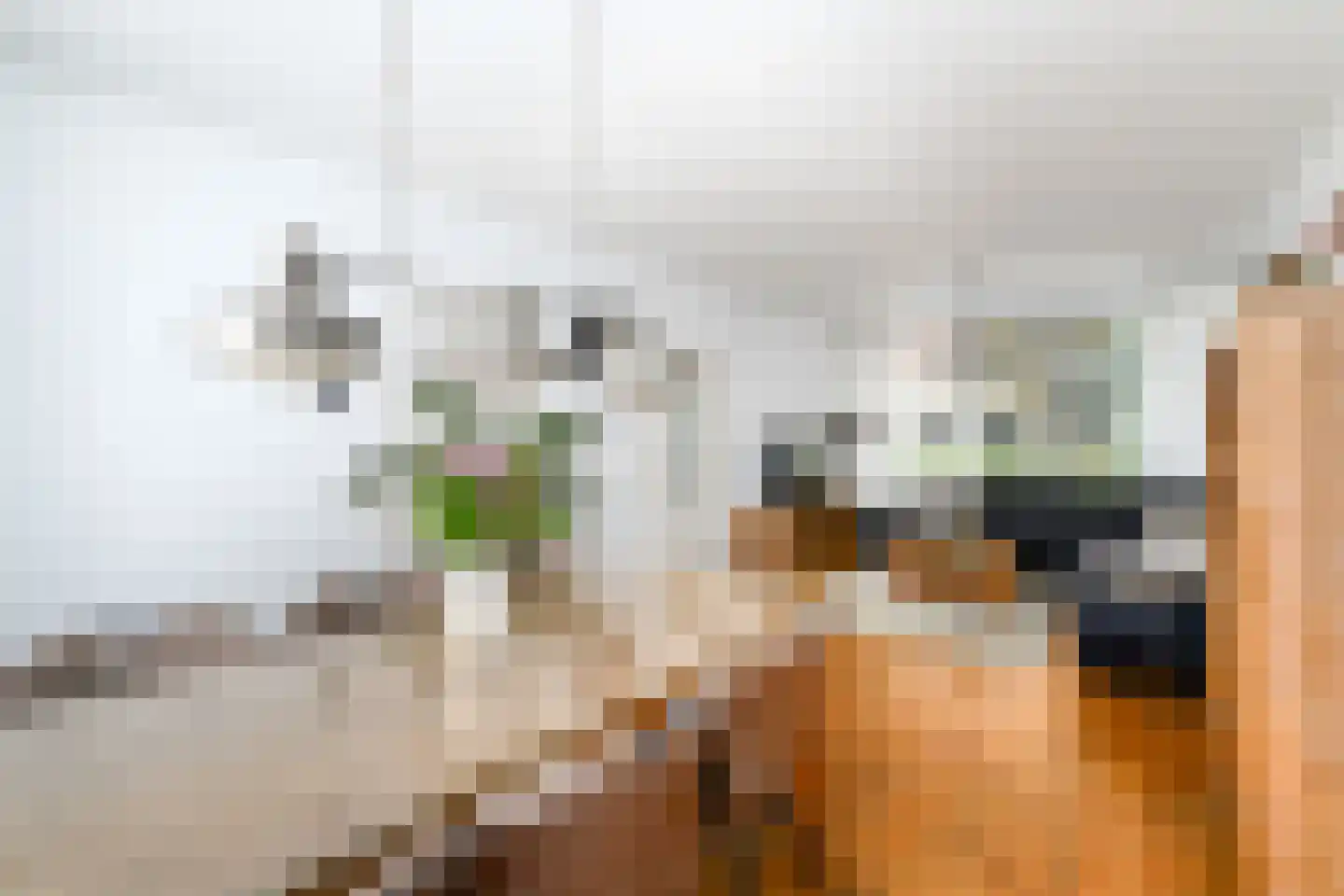 Meulestraat 34 Wolvega thumbnail 10
