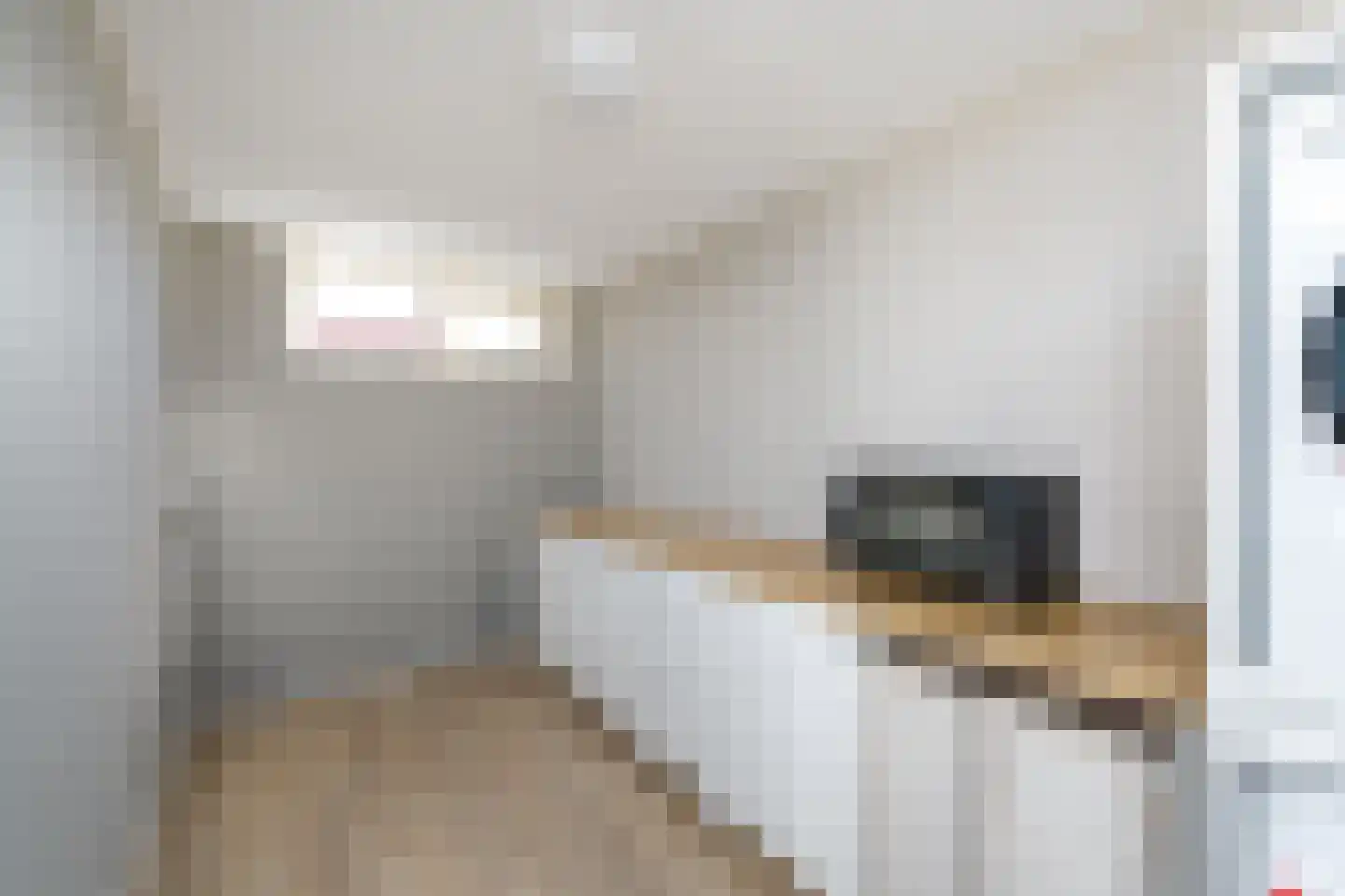 Meulestraat 34 Wolvega thumbnail 14