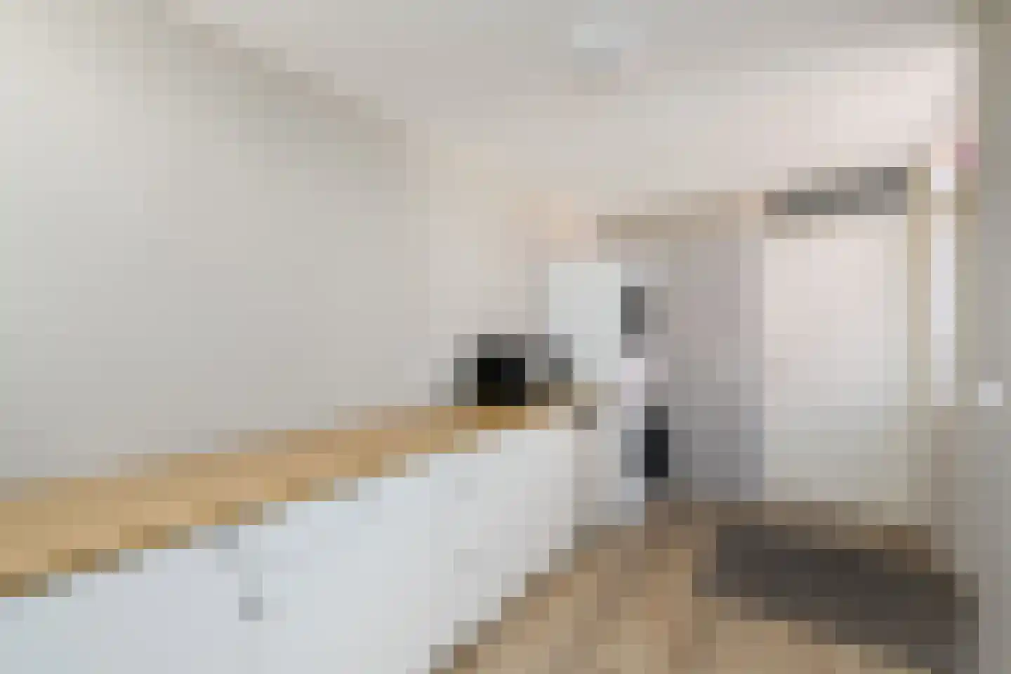 Meulestraat 34 Wolvega thumbnail 15
