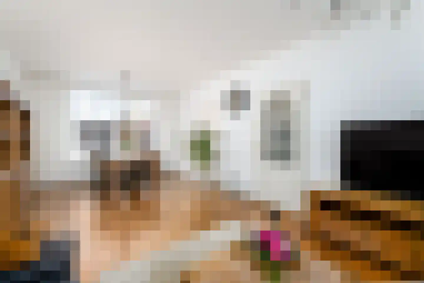 Meulestraat 34 Wolvega thumbnail 7