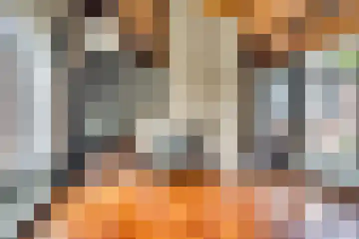 Meuleveldlaan 1 Venlo thumbnail 10