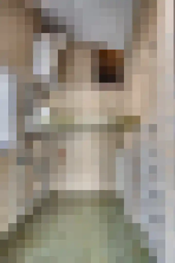 Meuleveldlaan 1 Venlo thumbnail 17