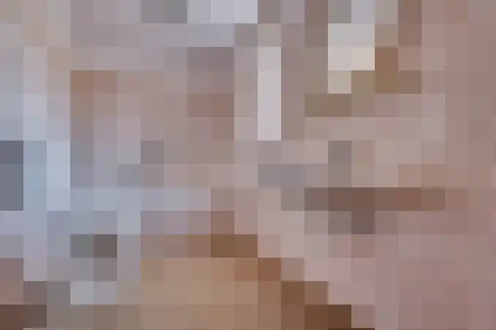 Meuleveldlaan 1 Venlo thumbnail 19
