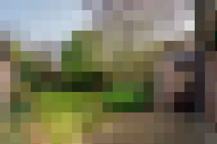 Meuleveldlaan 1 Venlo thumbnail 29