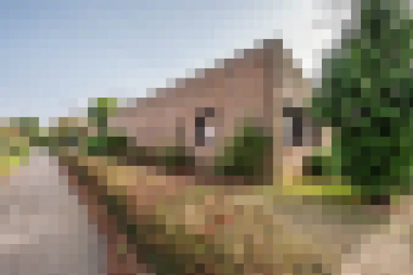 Meuleveldlaan 1 Venlo thumbnail 31