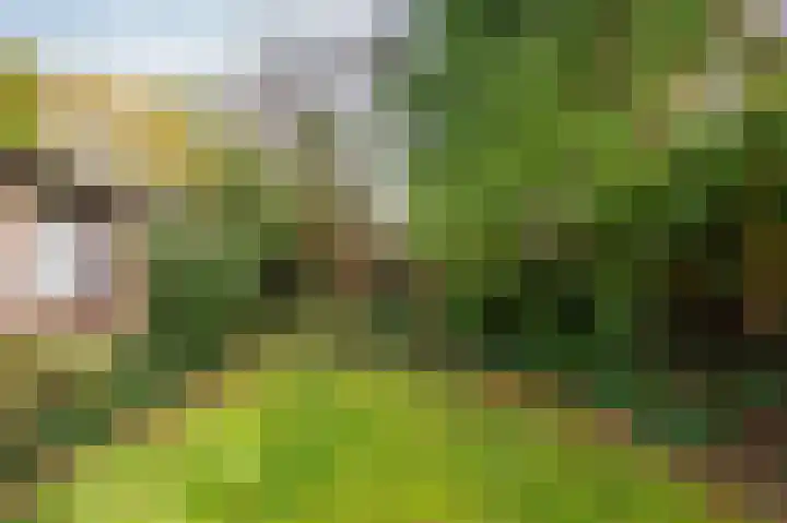 Meuleveldlaan 1 Venlo thumbnail 33