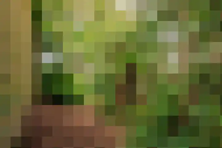 Meuleveldlaan 1 Venlo thumbnail 34