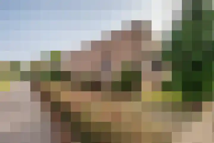 Meuleveldlaan 1 Venlo thumbnail 35