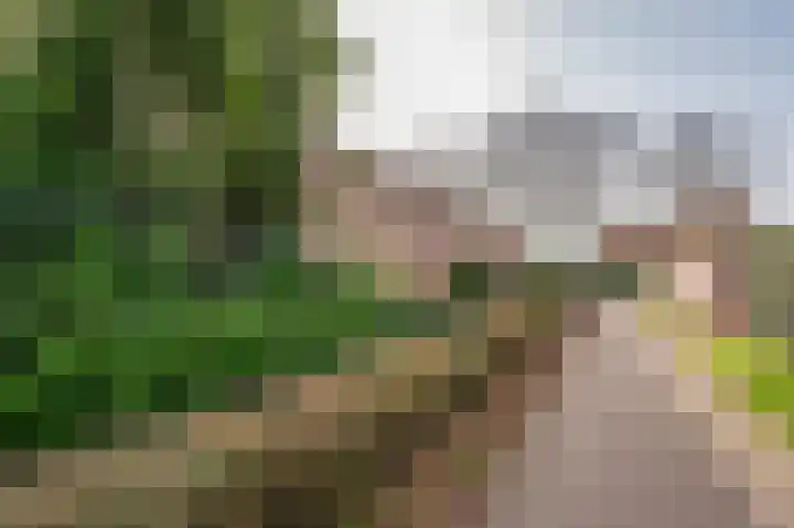 Meuleveldlaan 1 Venlo thumbnail 36