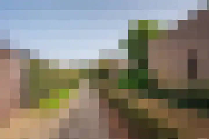 Meuleveldlaan 1 Venlo thumbnail 37