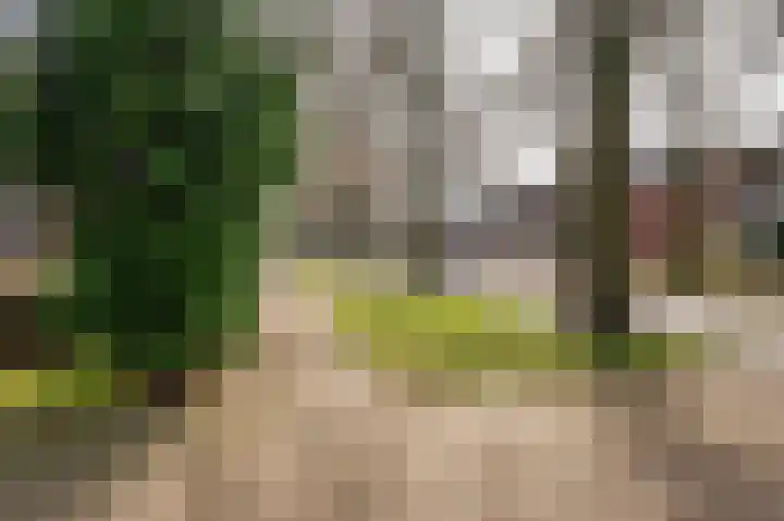Meuleveldlaan 1 Venlo thumbnail 38