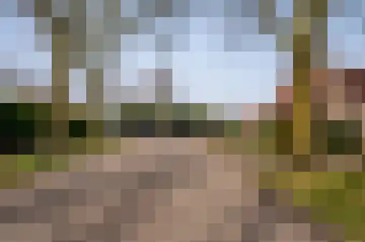Meuleveldlaan 1 Venlo thumbnail 39