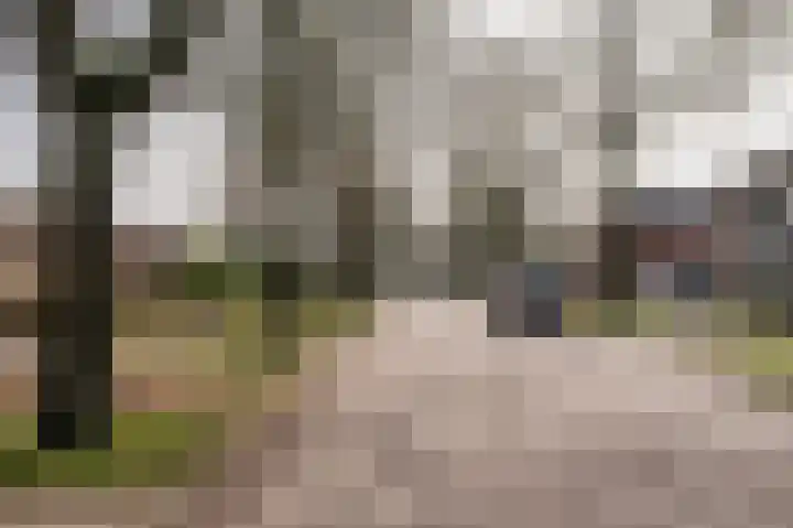Meuleveldlaan 1 Venlo thumbnail 40