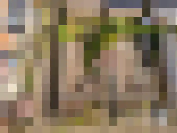 Meuleveldlaan 1 Venlo thumbnail 41