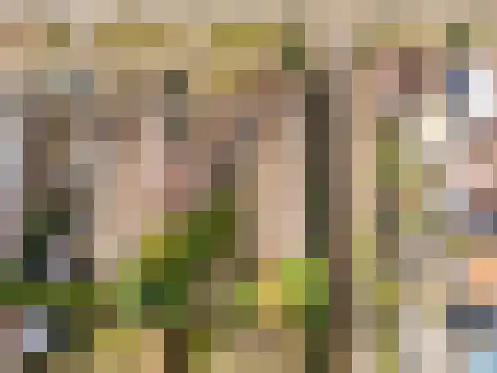 Meuleveldlaan 1 Venlo thumbnail 42