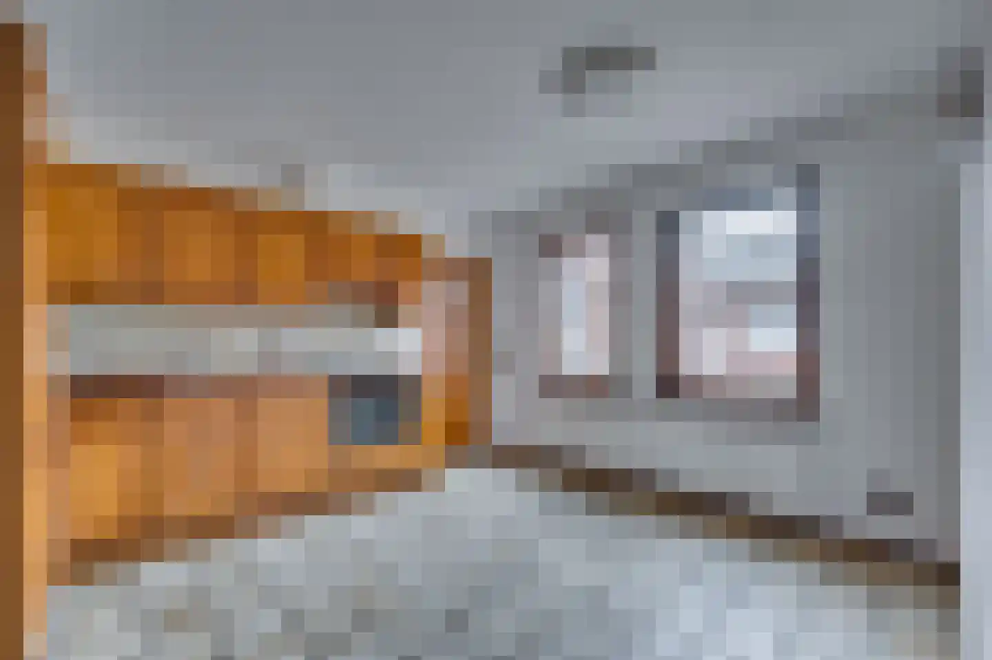 Meuleveldlaan 18 Venlo thumbnail 11