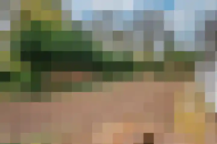 Meuleveldlaan 18 Venlo thumbnail 35