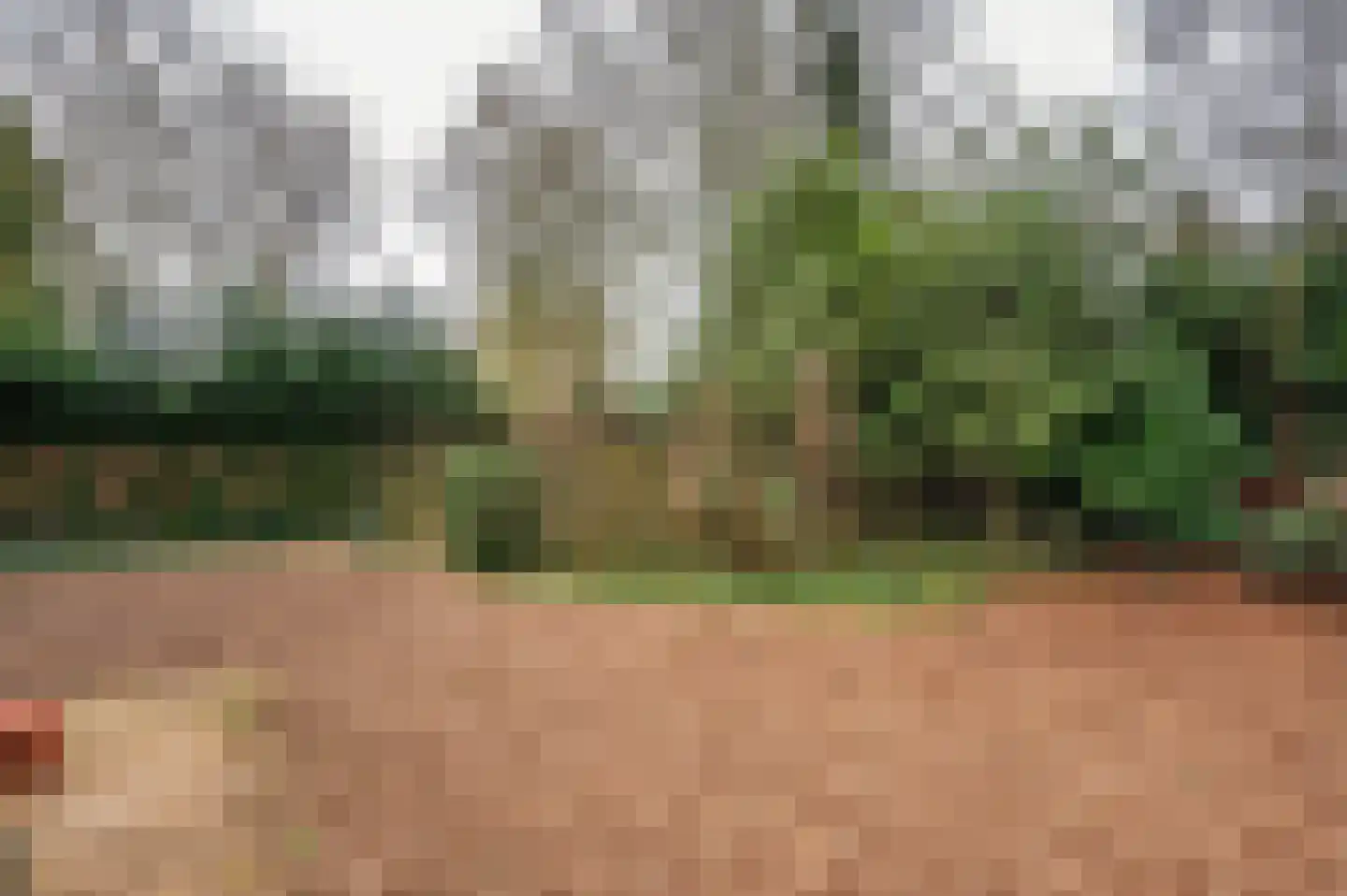 Meuleveldlaan 18 Venlo thumbnail 41